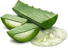 Aloe-Blattsaft — feuchtigkeitsspendender Inhaltsstoff von {{OFFER_NAME}}