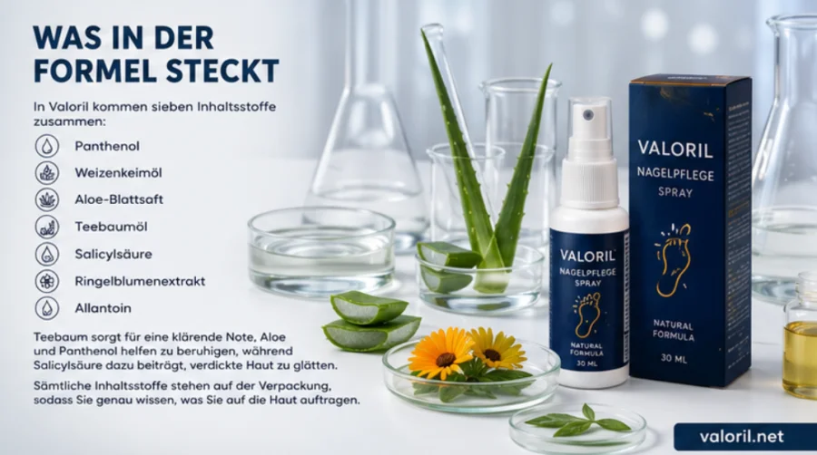 {{OFFER_NAME}} — sieben Inhaltsstoffe pflanzlichen Ursprungs der Formel