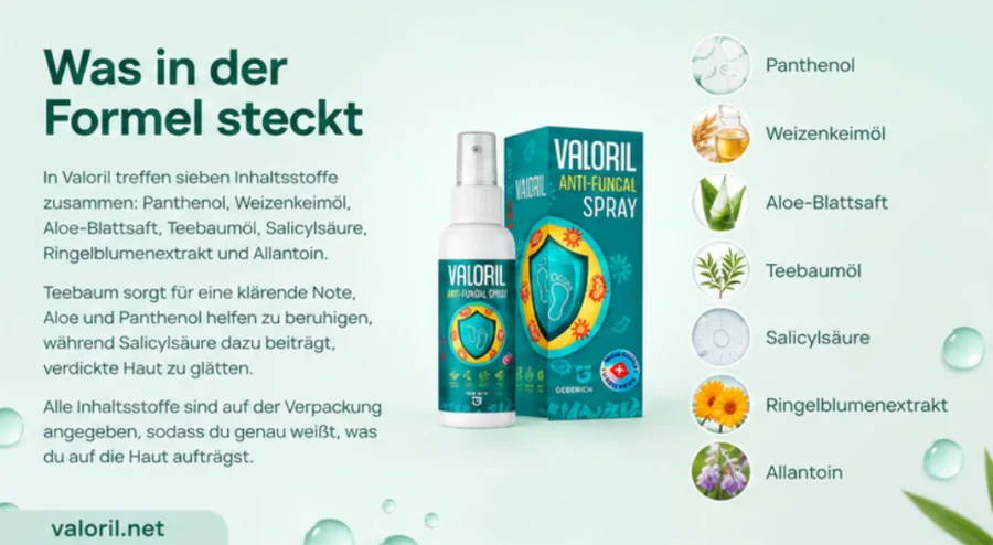 {{OFFER_NAME}} — sieben Inhaltsstoffe pflanzlichen Ursprungs der Formel