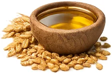 Weizenkeimöl — pflegendes Pflanzenöl in {{OFFER_NAME}}